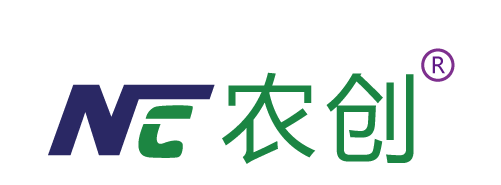 DƬ2.png