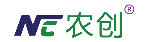 DƬ2.png