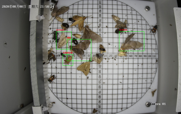 病虫害监测系统图片3