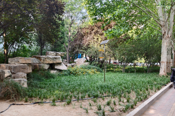 物联网杀虫灯图片4