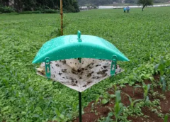 MC-YBQb甜菜夜蛾诱捕器