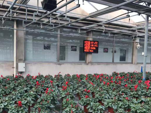 温室环境调控设备图片2 温室环境调控设备图片2
