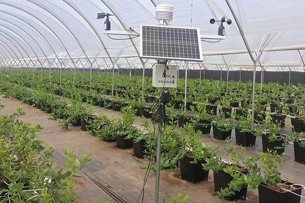 便携式自动风向监测仪图片2