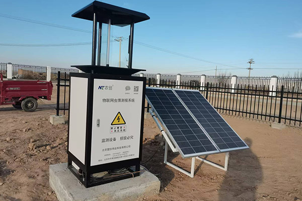 AI虫情自动识别系统图片3