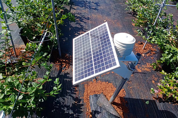 智能自动气象观测站图片4 智能自动气象观测站图片4