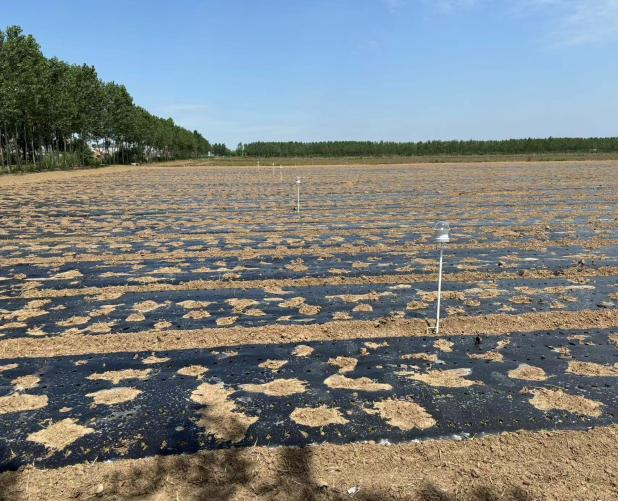 温湿光压传感器图片1