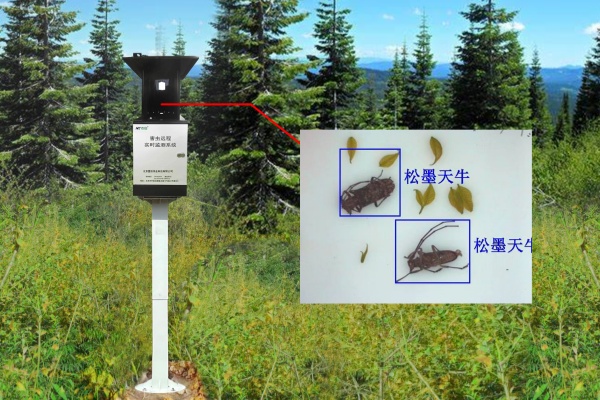 天牛智能诱捕器图片2