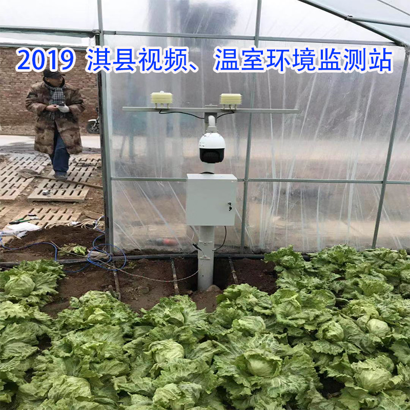 2019  淇县视频、温室环境监测站