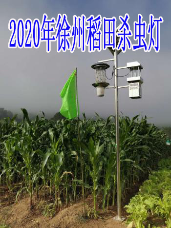 2020年徐州稻田杀虫灯